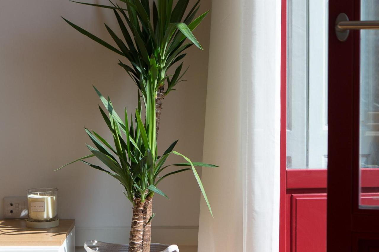 Lovelystay - Martires Boutique Flat 波尔图 外观 照片